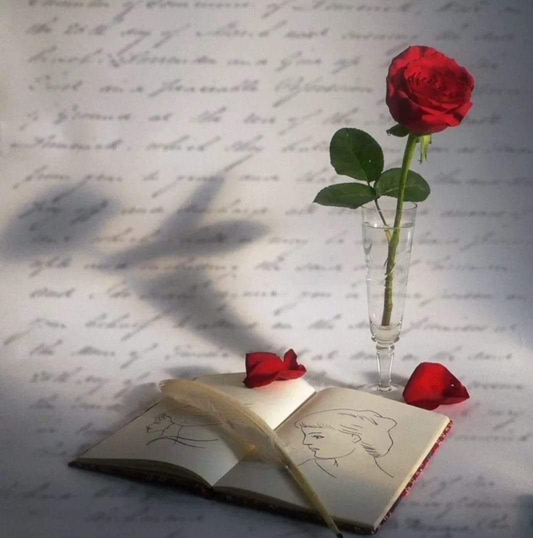 Любимому поэту