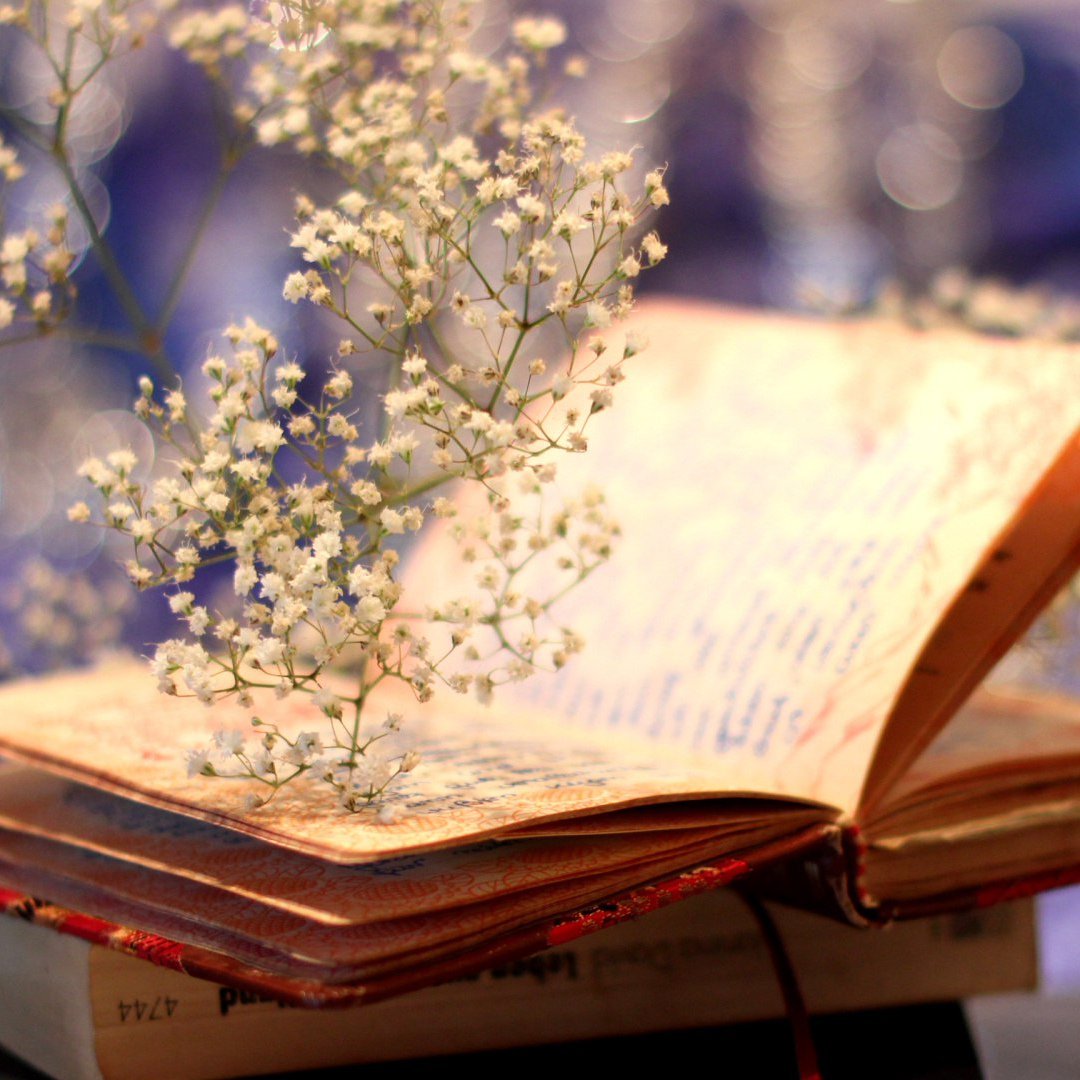 Книга Вдохновение