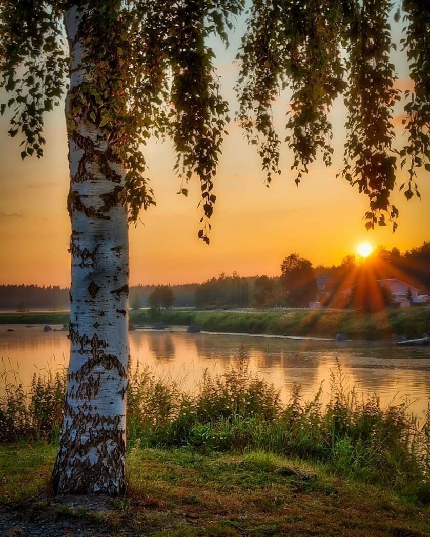 Русская природа