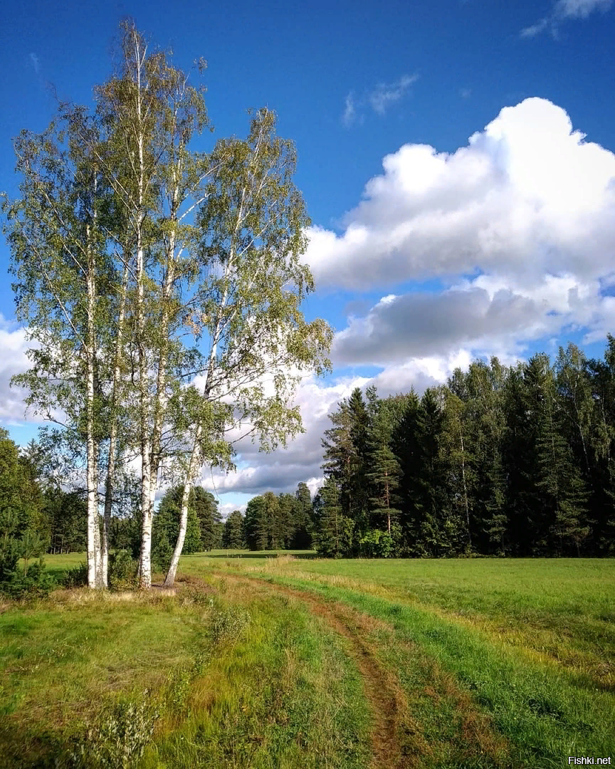 Русская природа