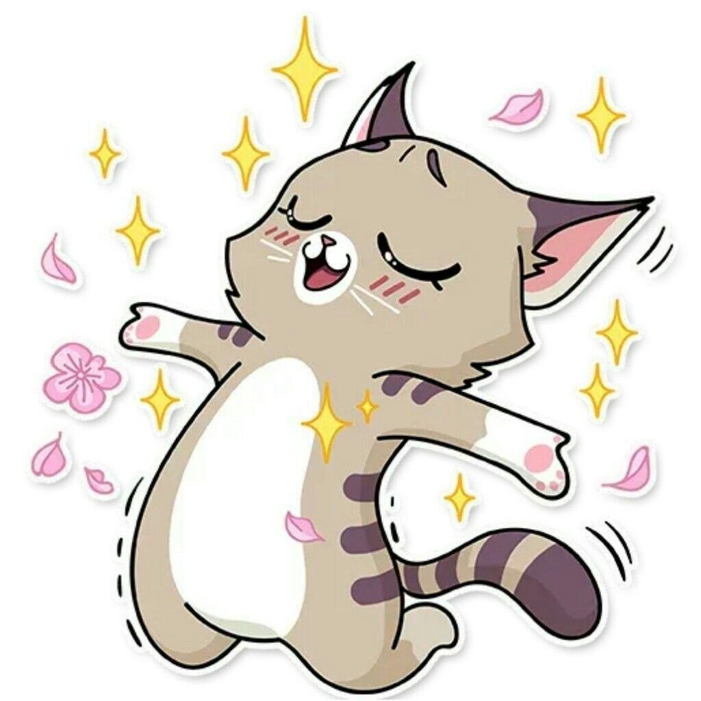 Котик на солнце