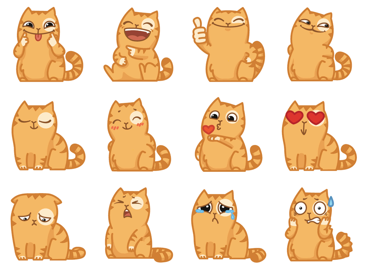 Котик смущается