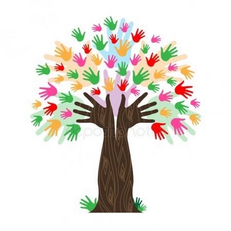 Плакат виды деревьев