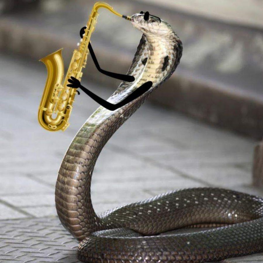 Змея на руке