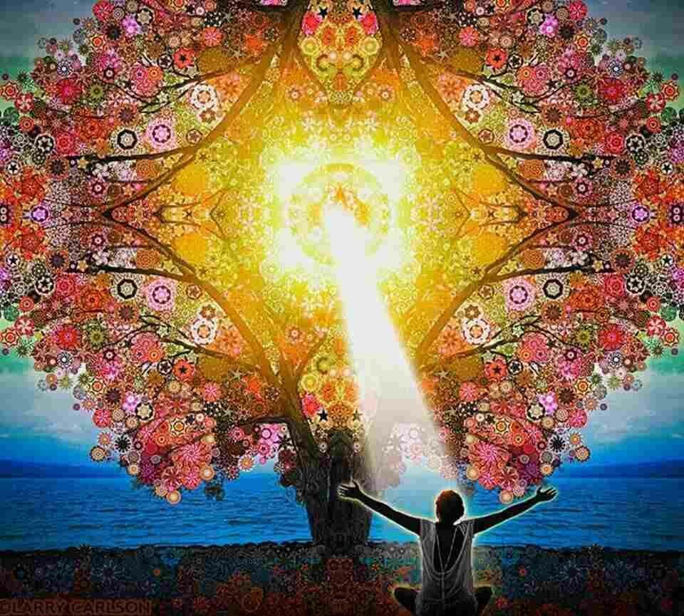 Деревья картинки для детского сада