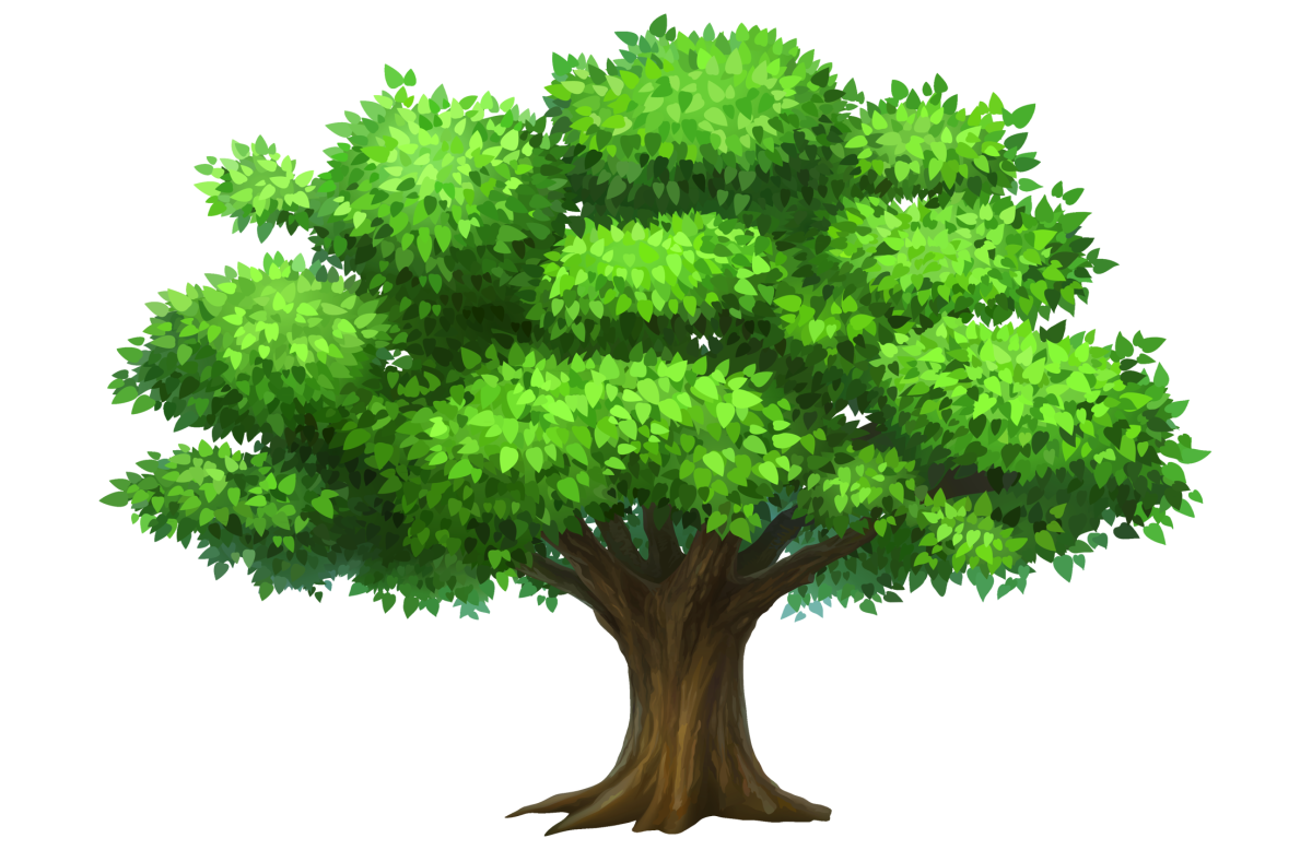 Родословное Древо фон