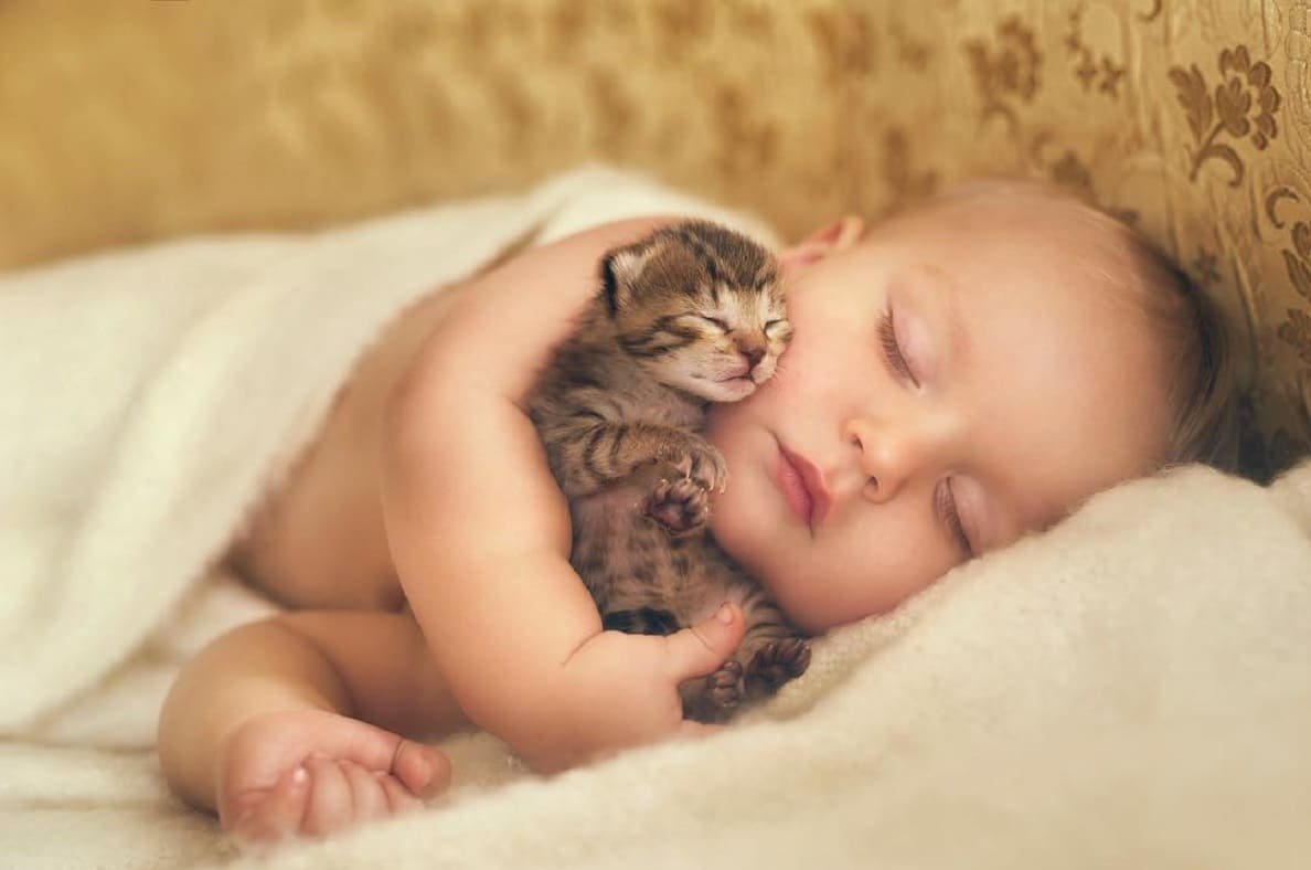 Маленькие дети и животные