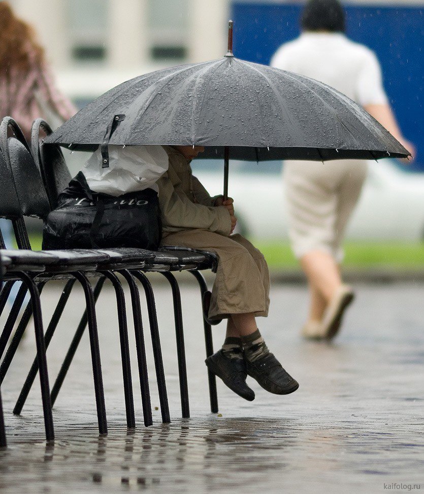 Дождь прикольные