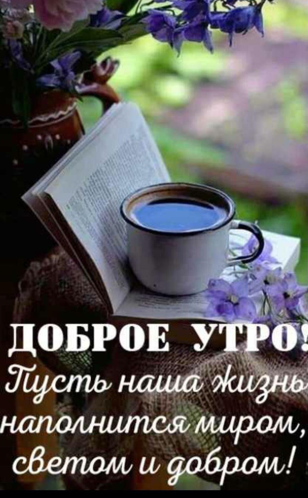 Добро утро и хорошего дня и настроения