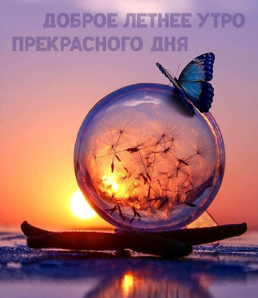 Жизнь прекрасна и удивительна доброе утро картинки