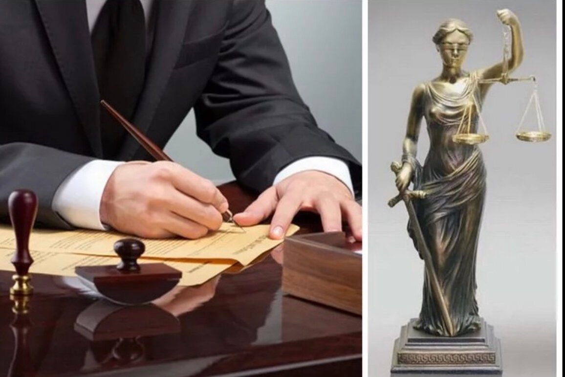 Профессия адвокат