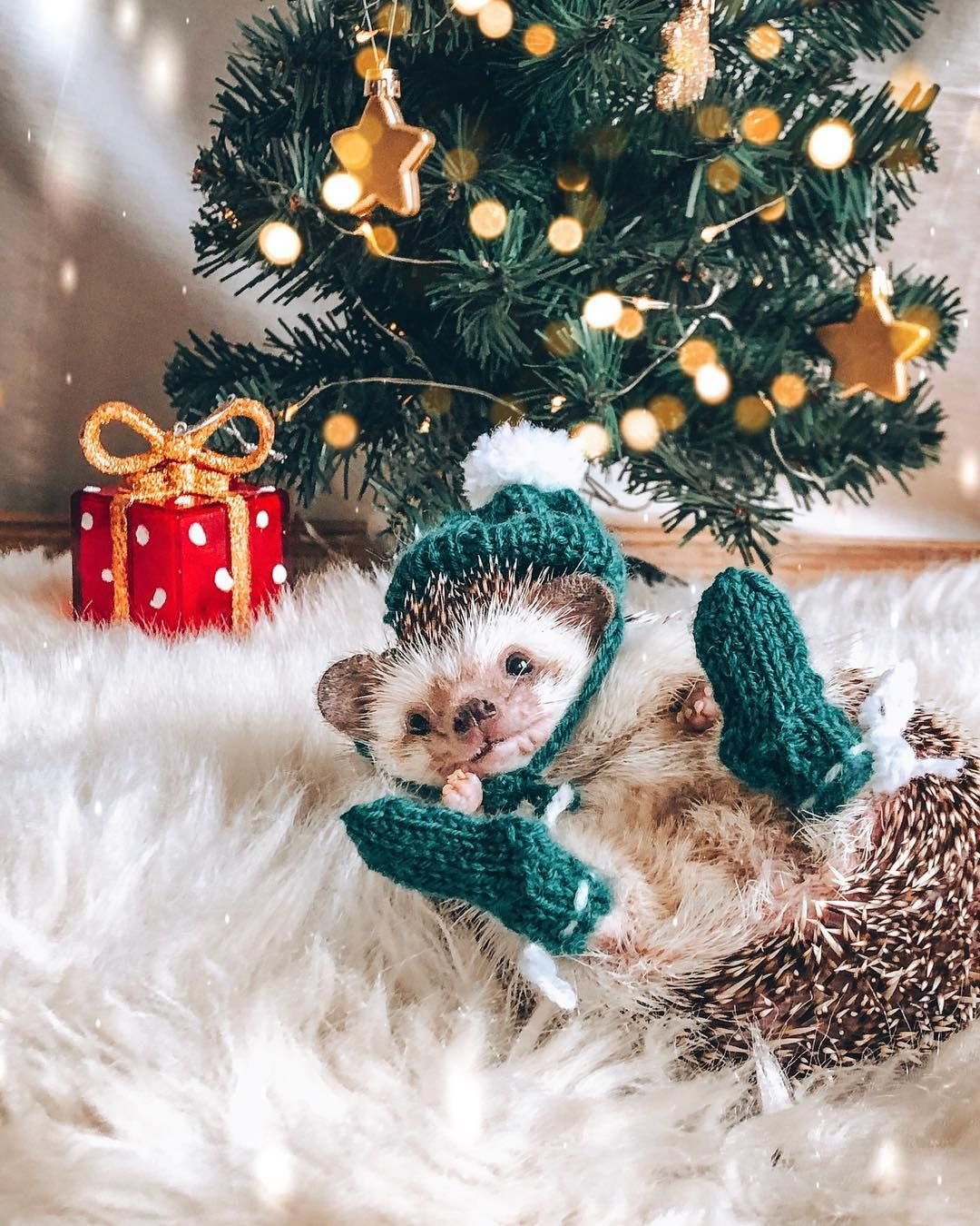 Новогодний Ежик