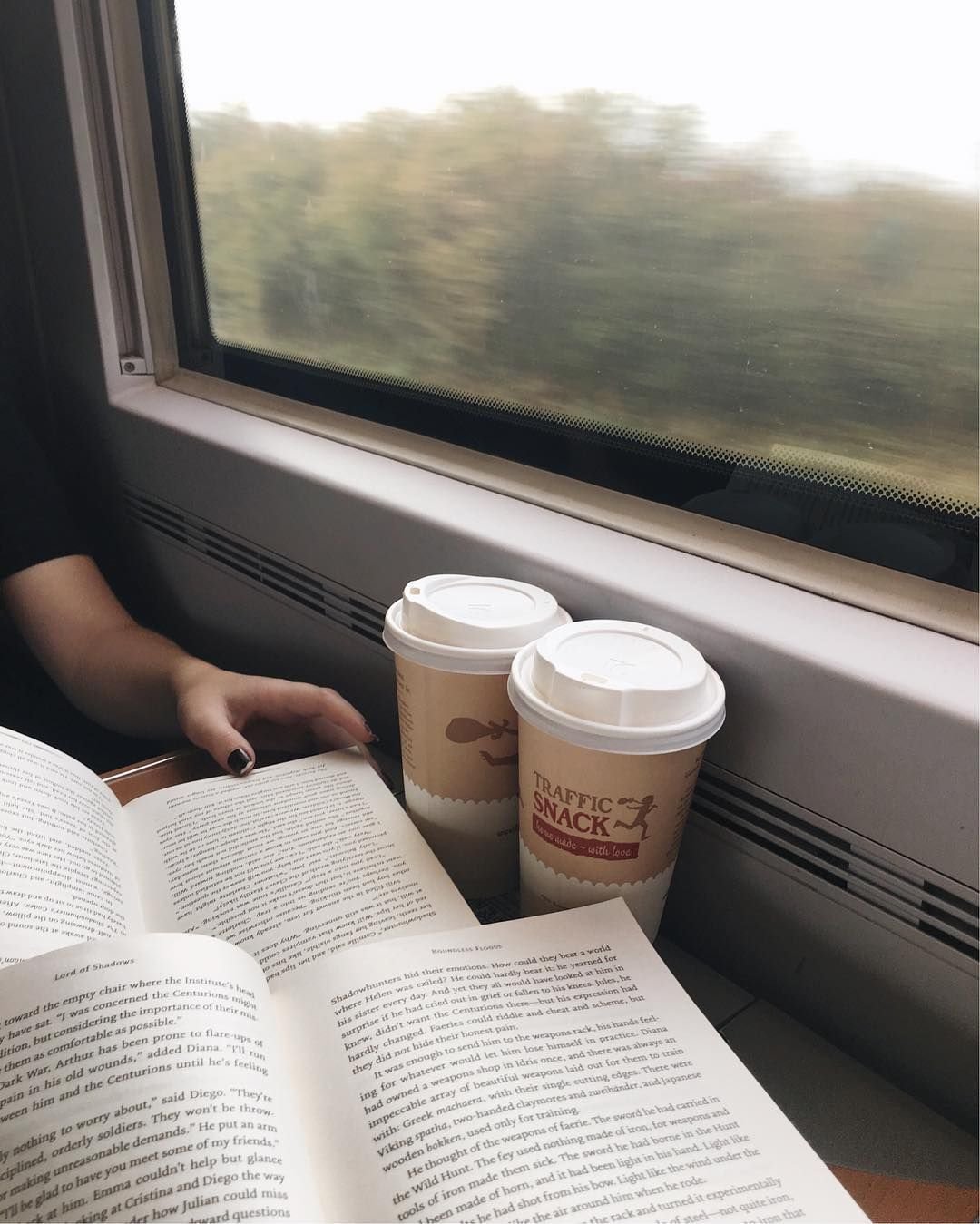 Книга про поезда