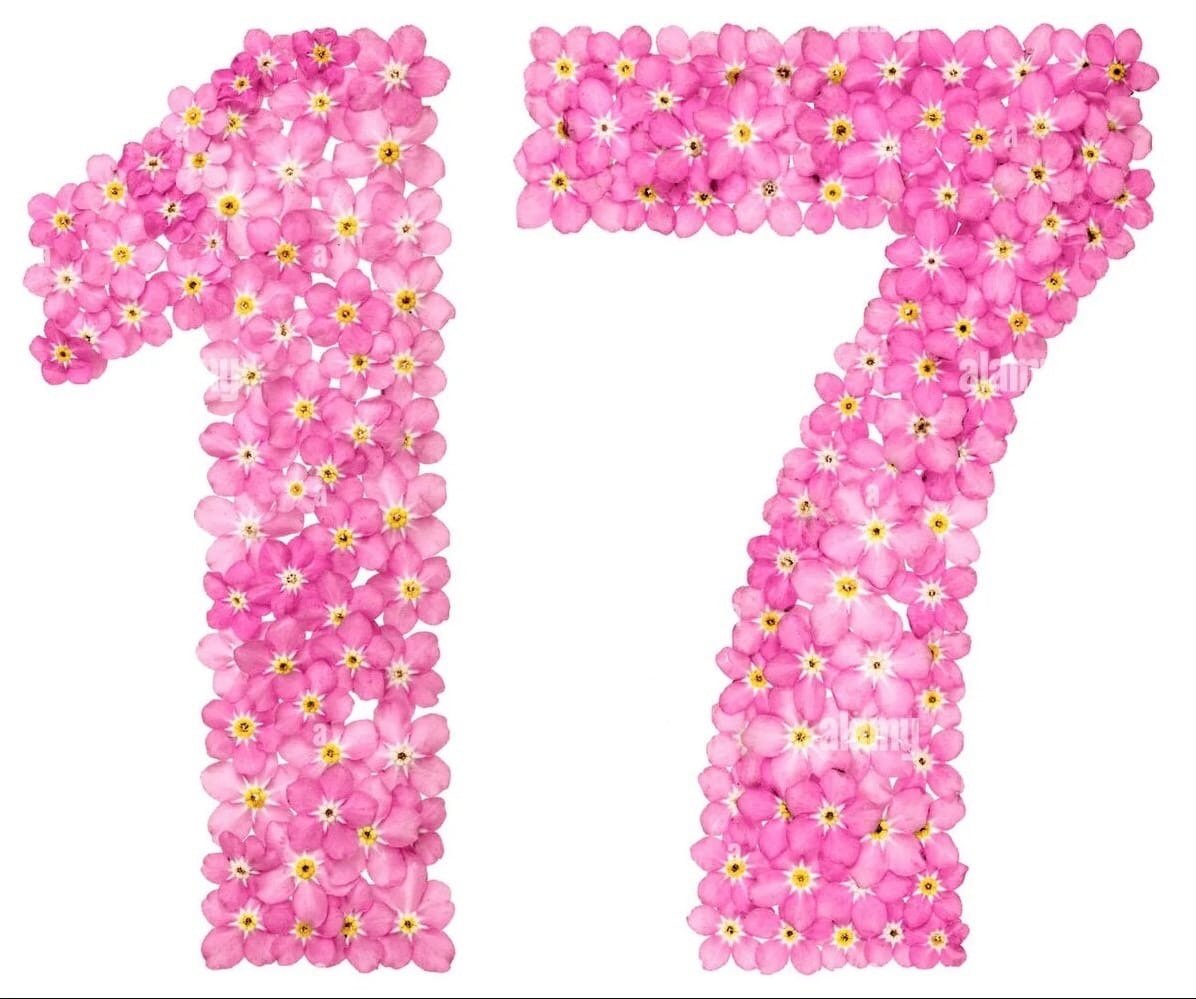 Цифра 7 красиваярозавая