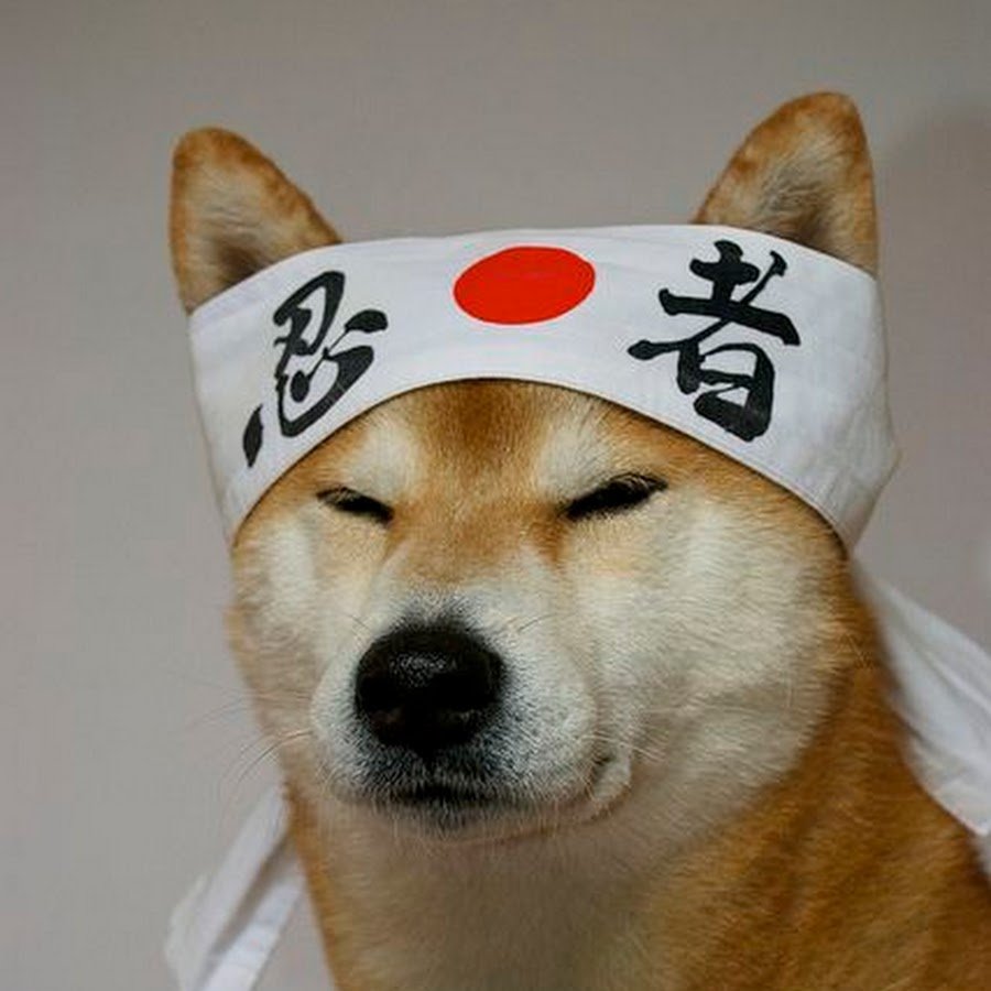 1210x300 Сакура