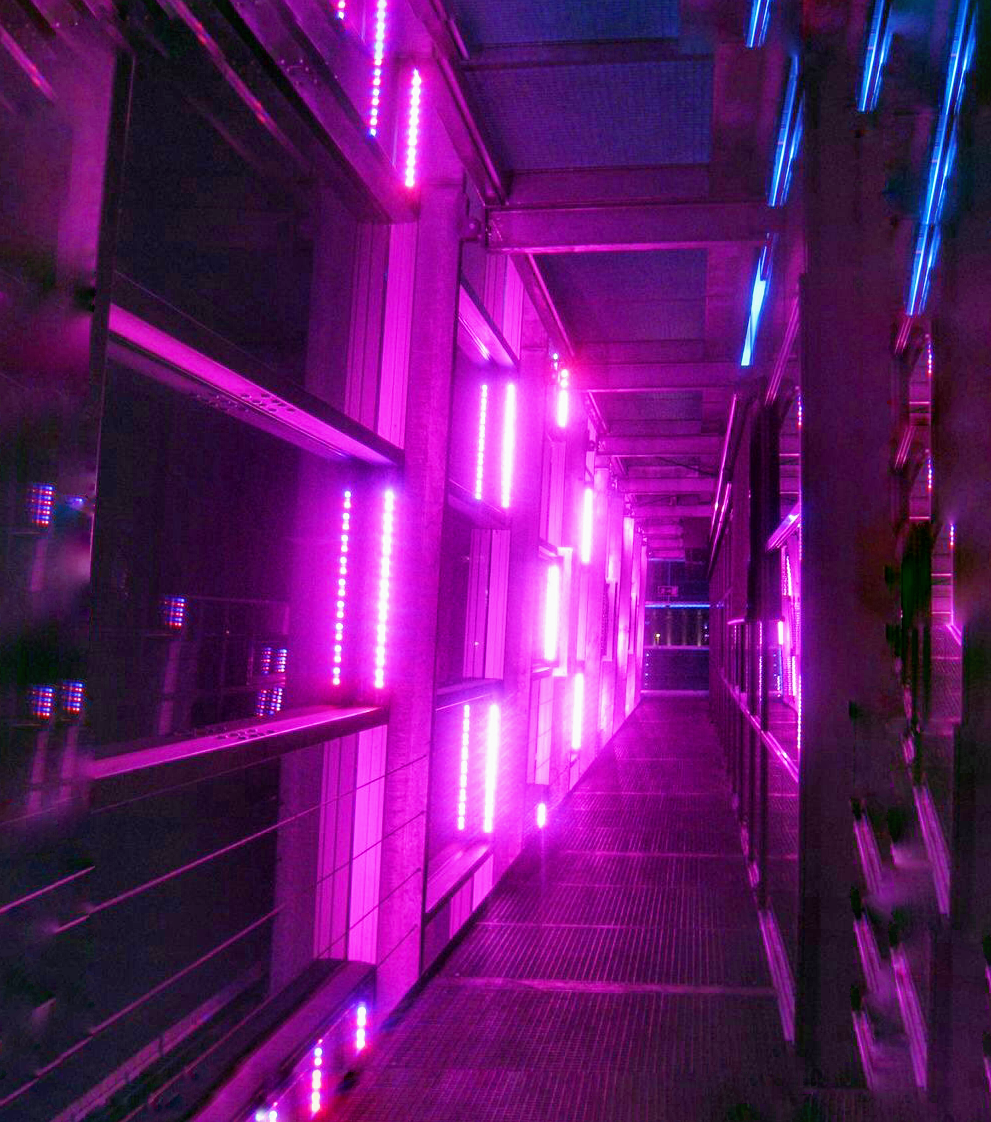 Неоновая вывеска сердце