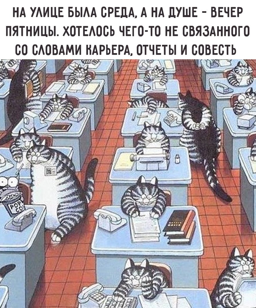 Среда юмор картинки