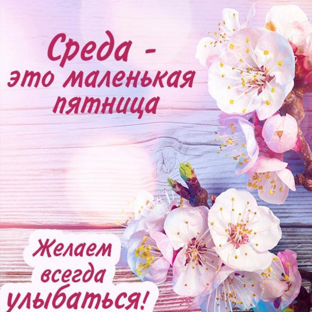 Среда маленькая пятница