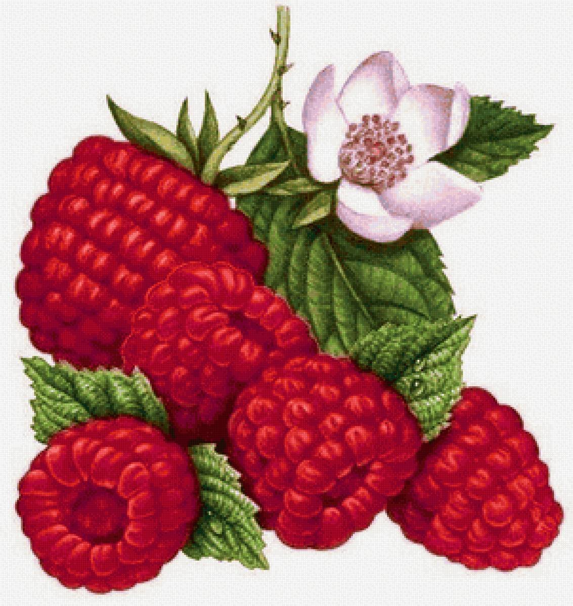 Вышивка малина