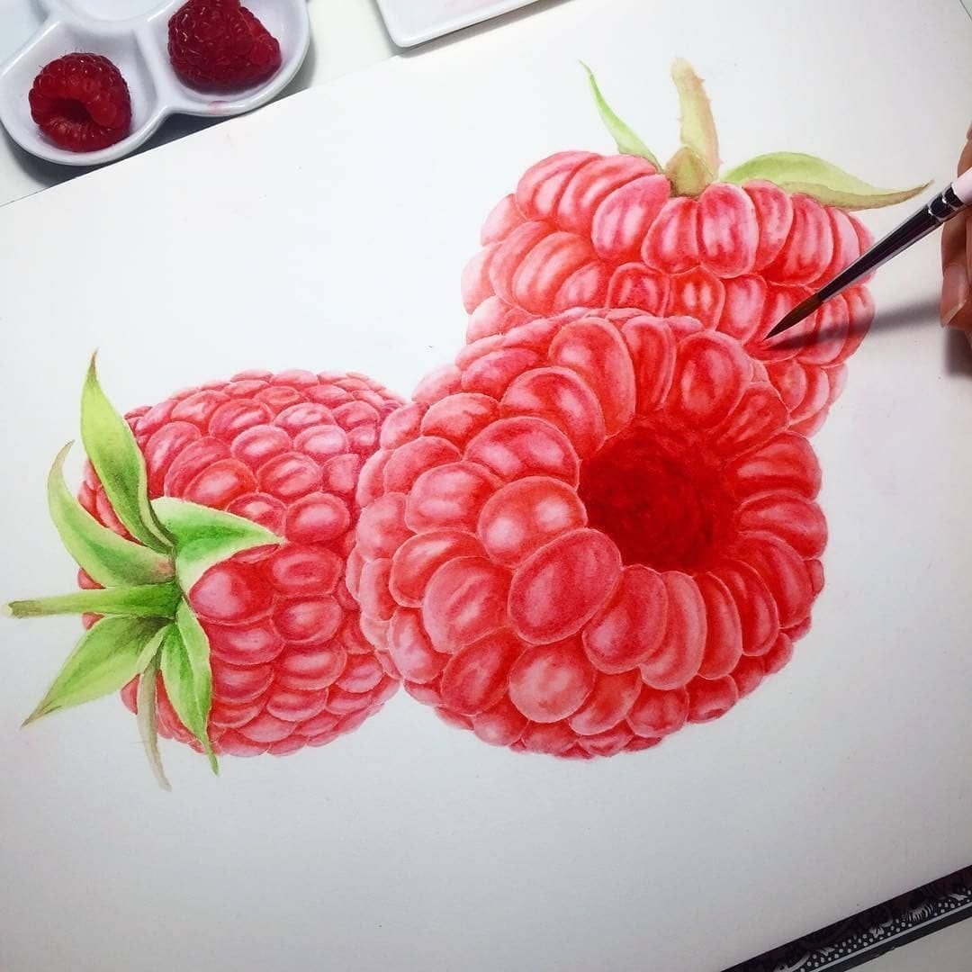 Малина цветными карандашами