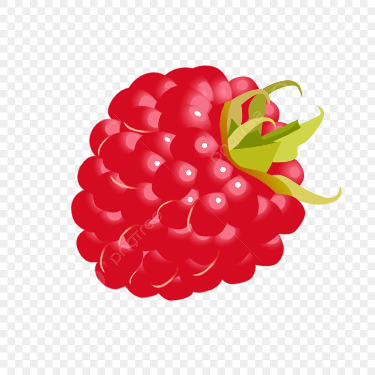 Красная малина мультяшная