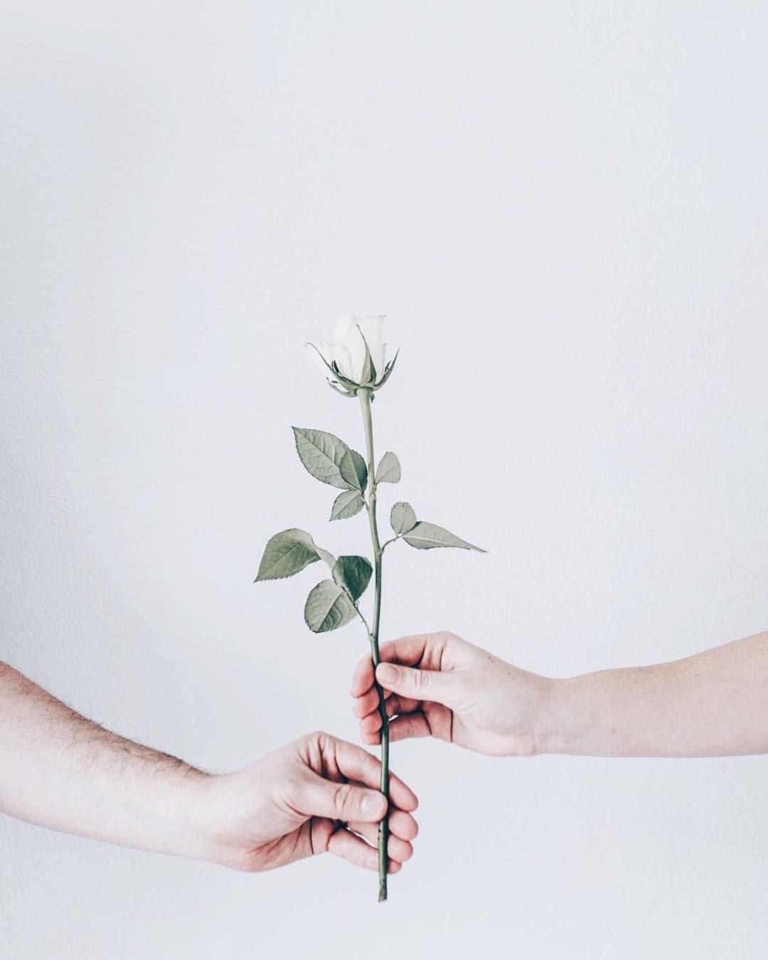 Стильные картинки в стиле Минимализм