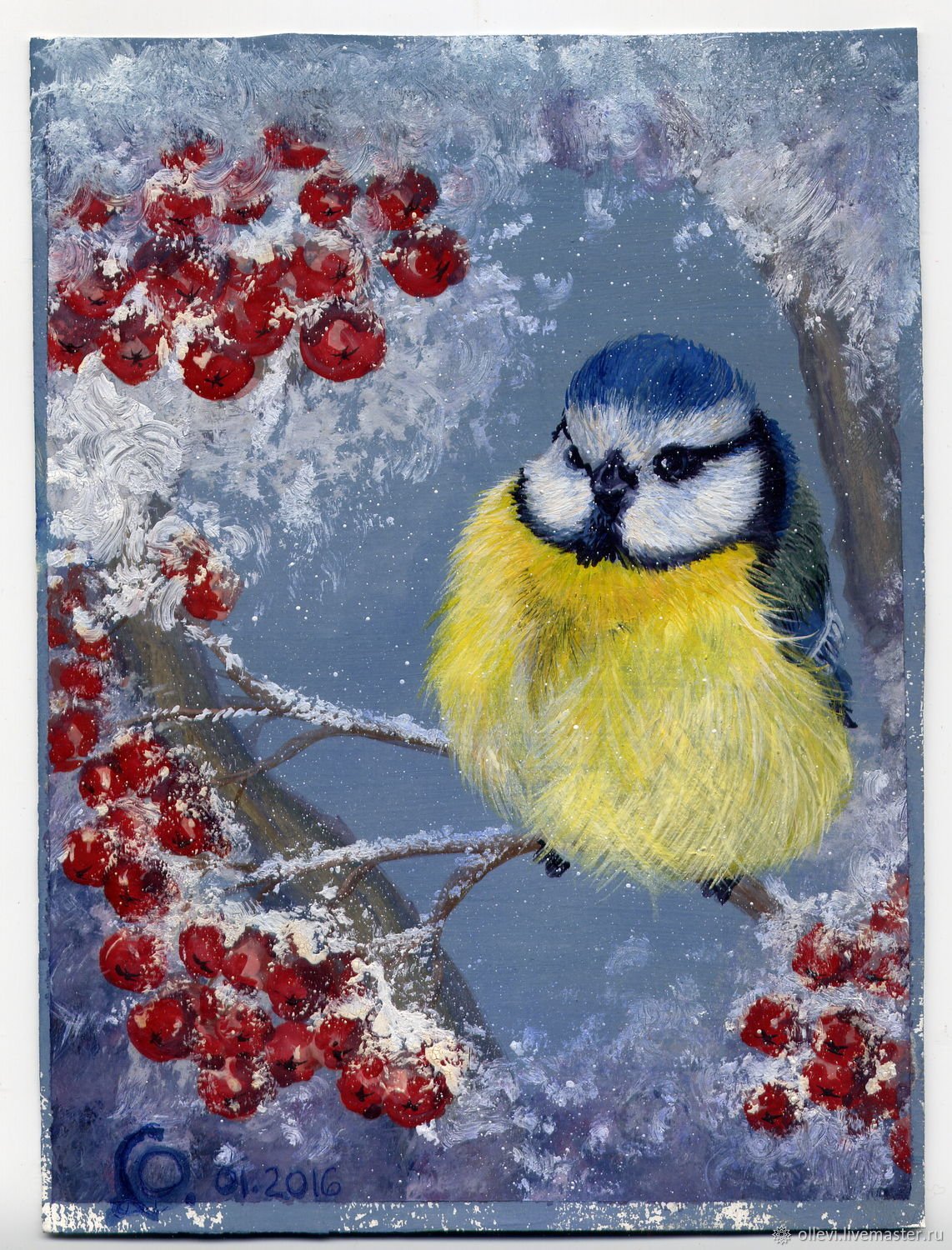 Лазоревка зимой