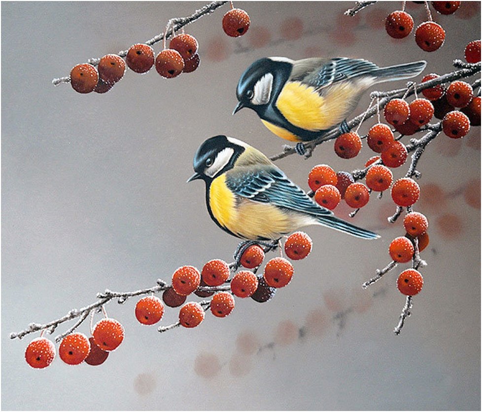 Художник Abraham Hunter птицы