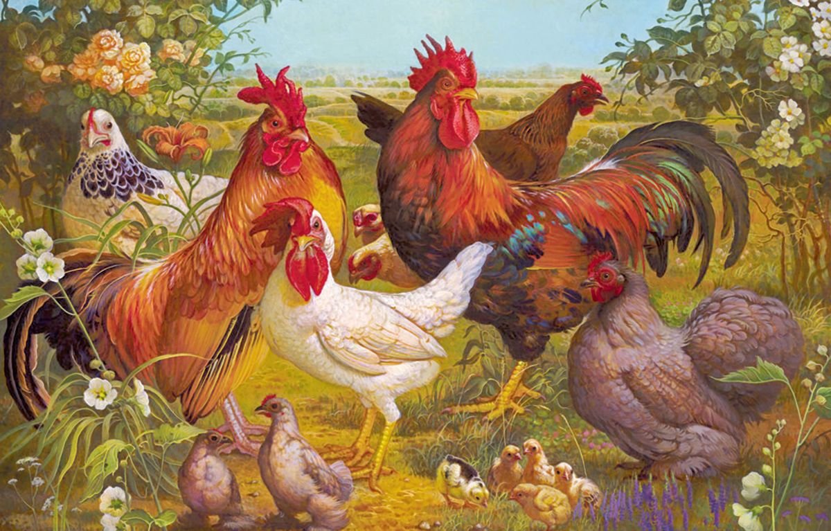 Вышивка птичий двор