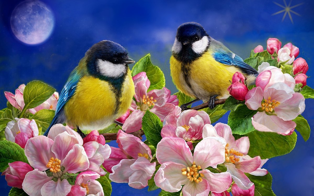 Красивая птица на ветке