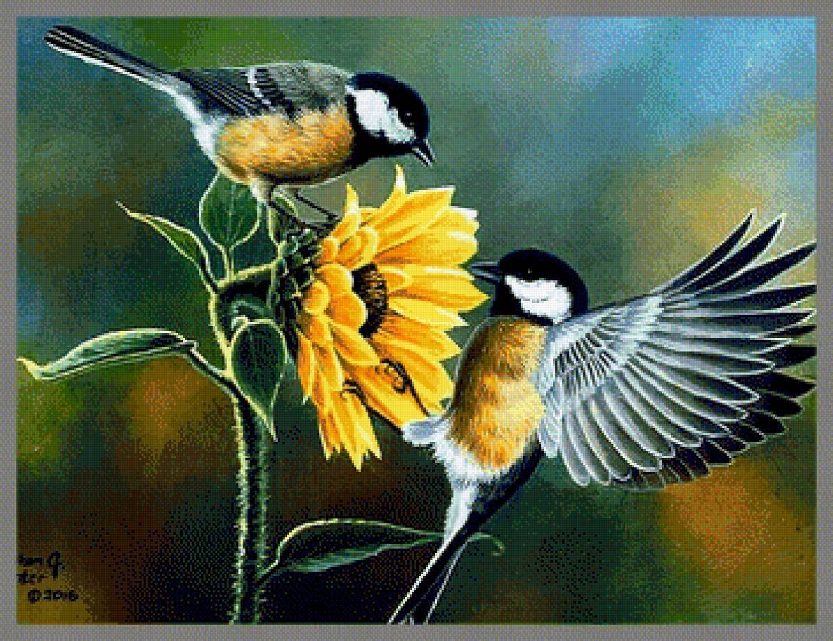 Алмазная мозайка синички