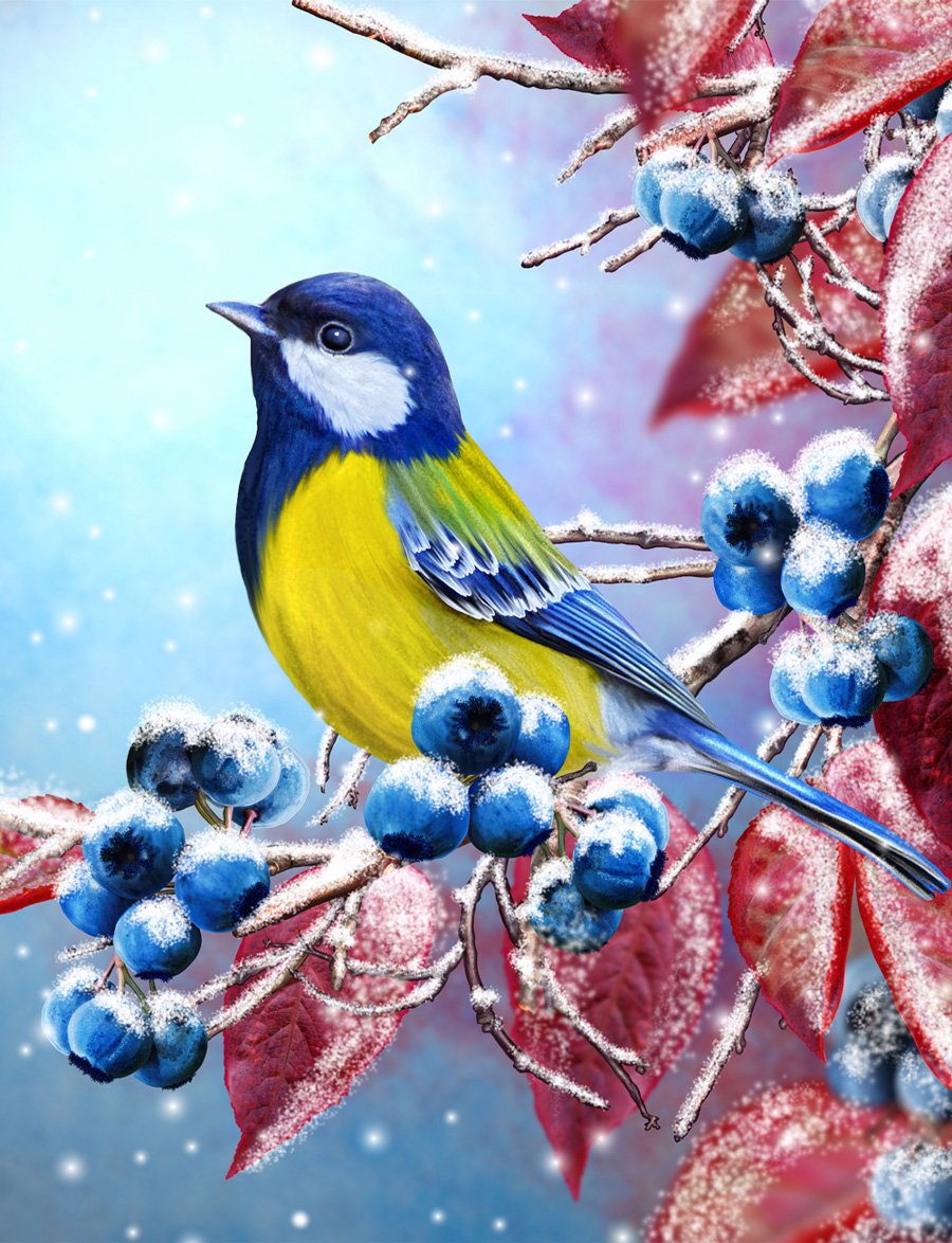 Синичка лазоревка