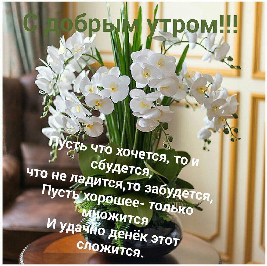 Доброе утро Ландыши