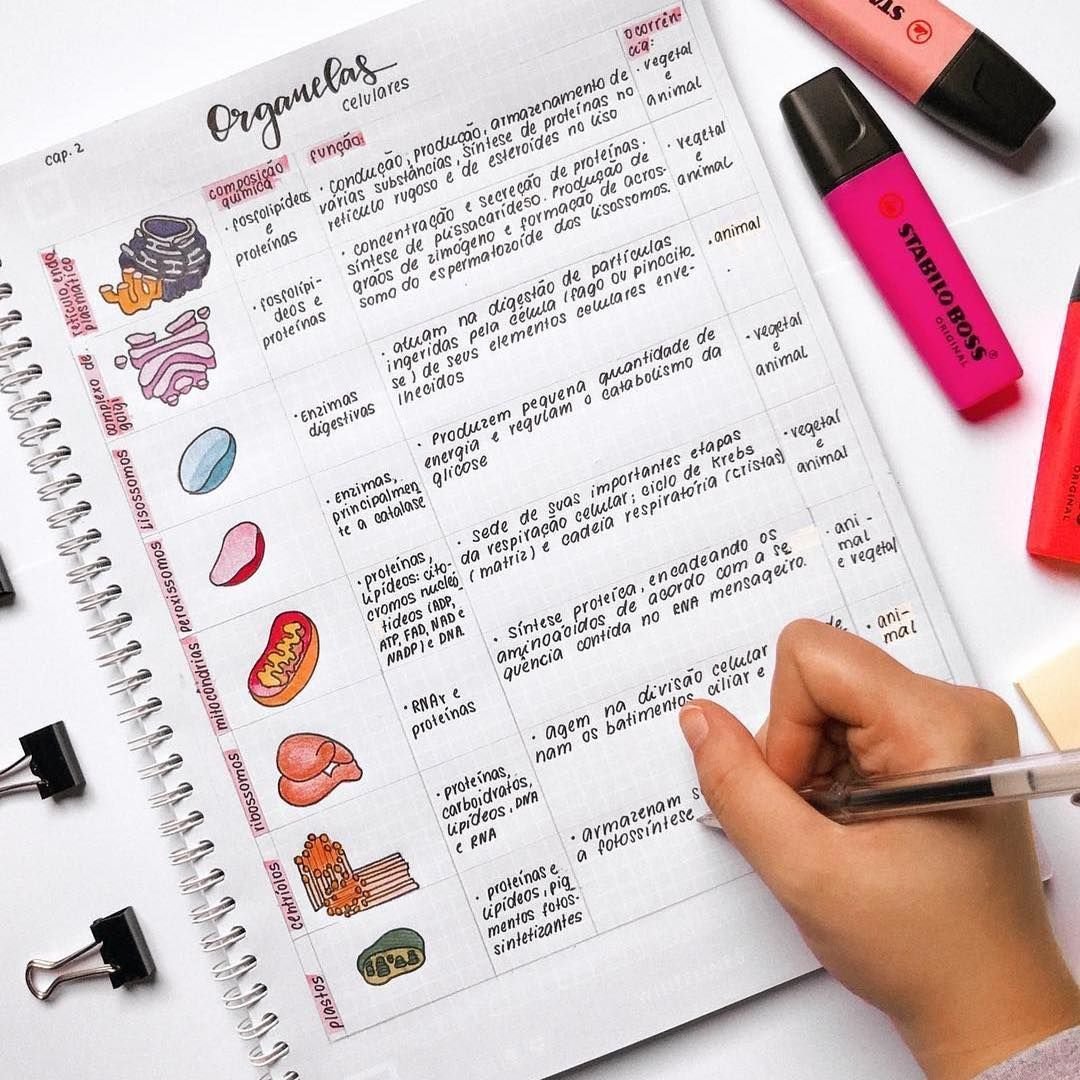 Англия для детей