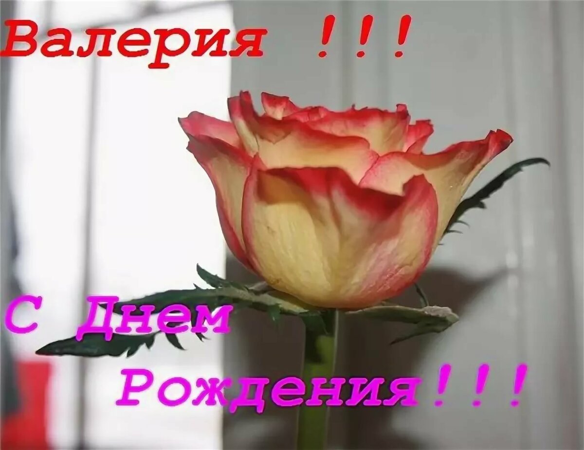 Поздравления с днём рождения Валерии