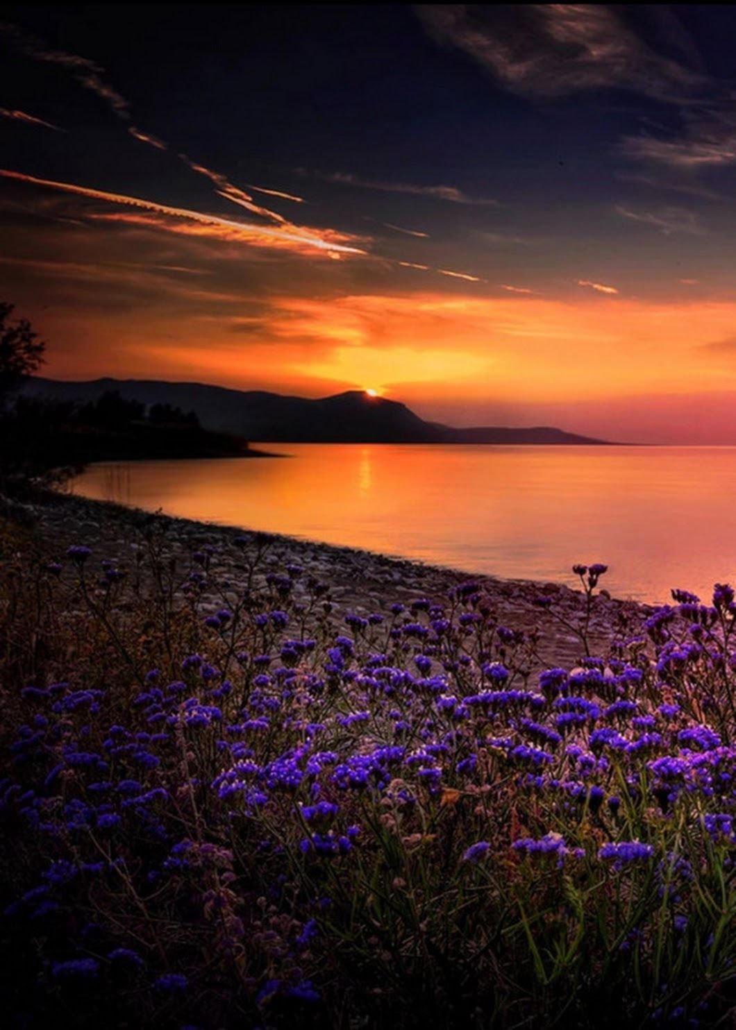 Природа закат