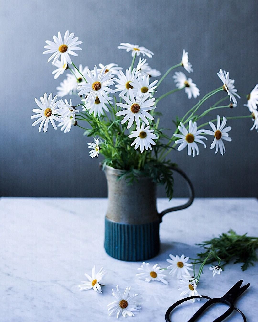 Букет ромашек