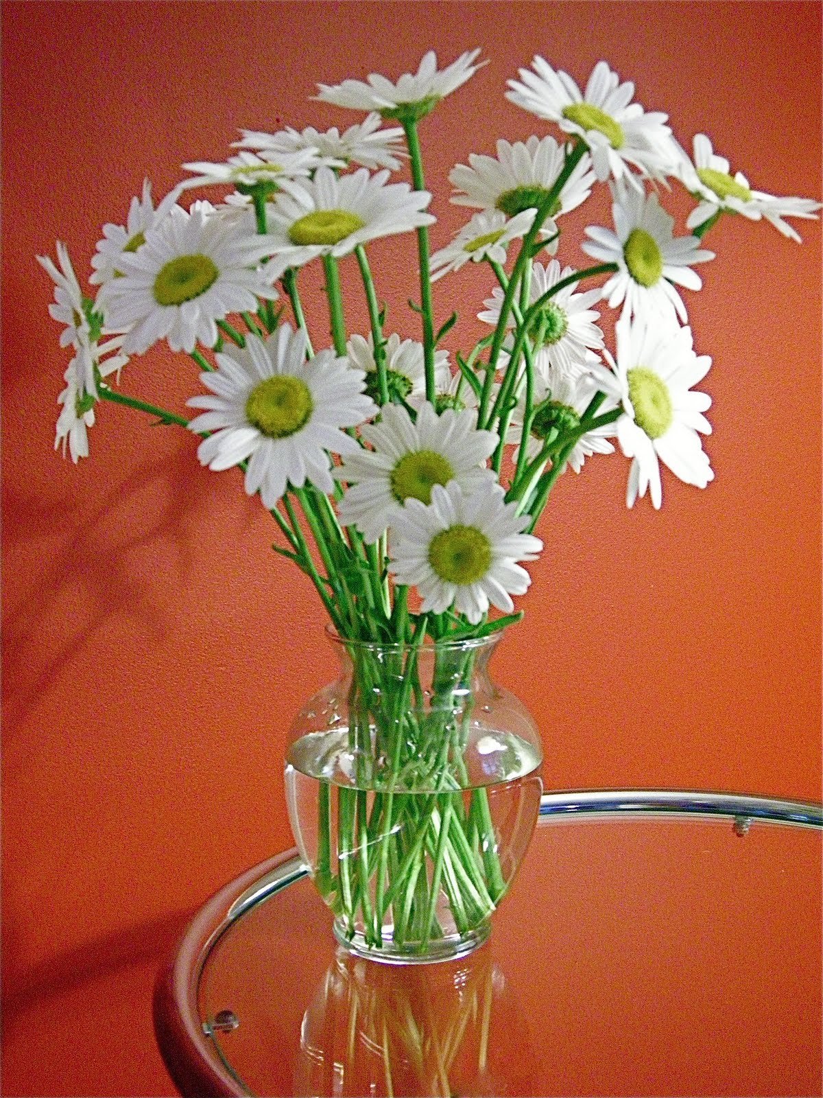 Красивый букет полевых ромашек