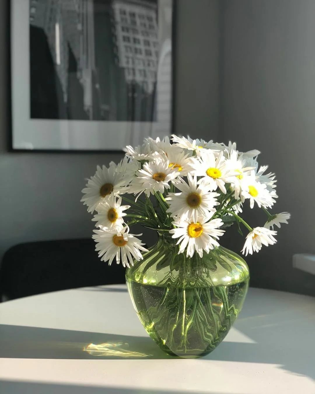 Ромашки в вазе