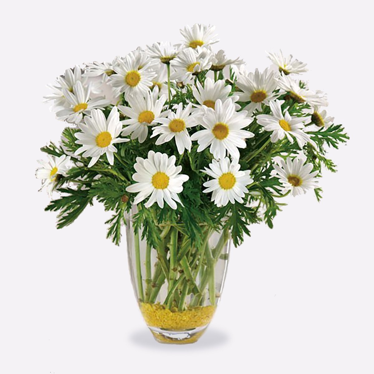 Ромашки картины художников