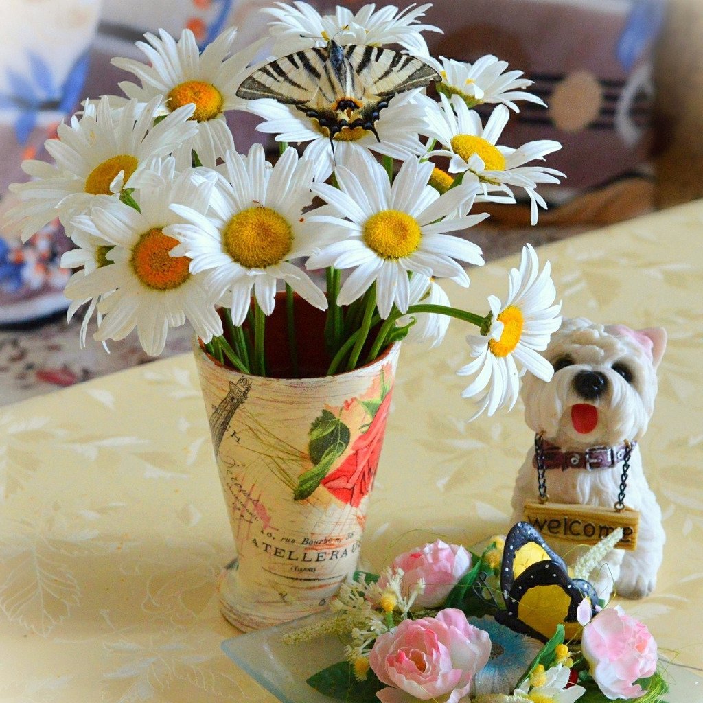 Букет ромашек в вазе