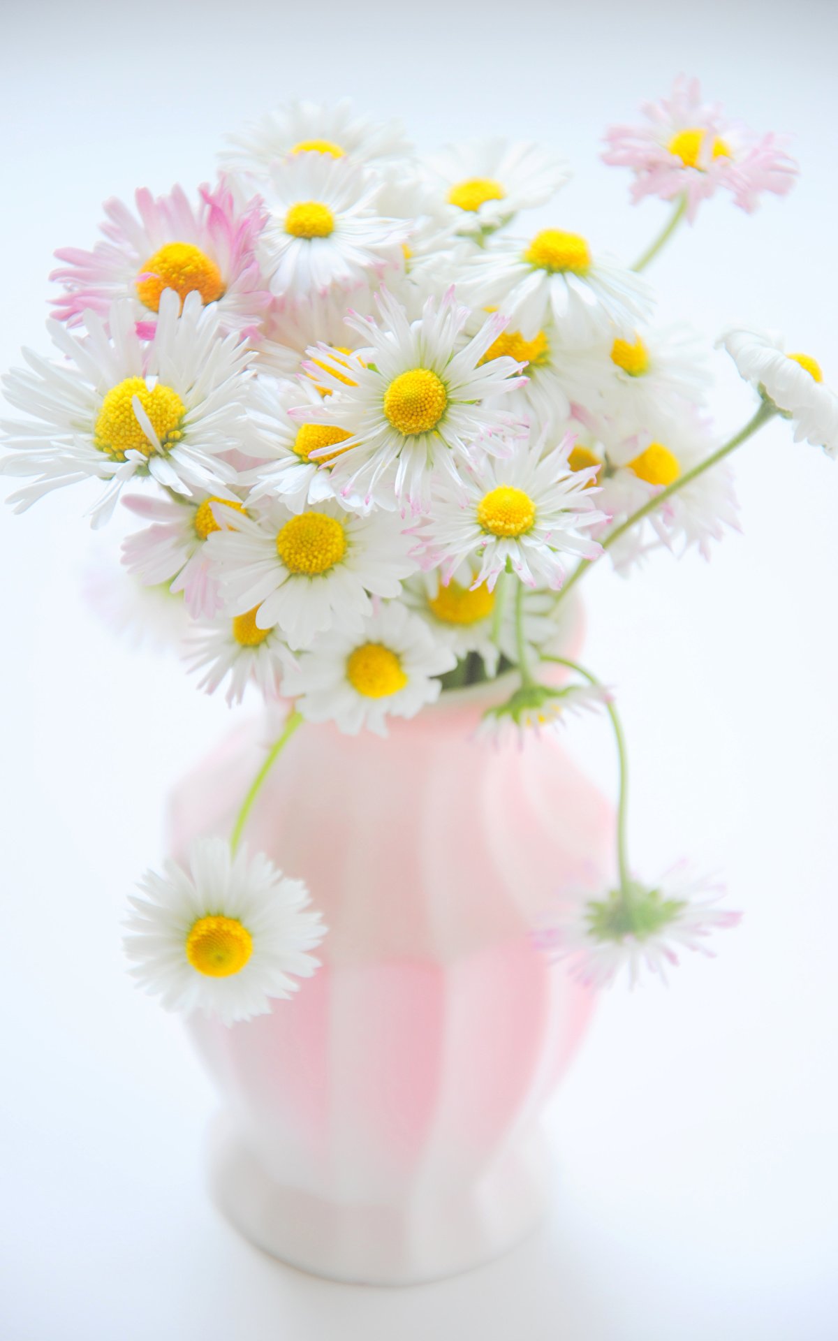 Ромашки в вазе