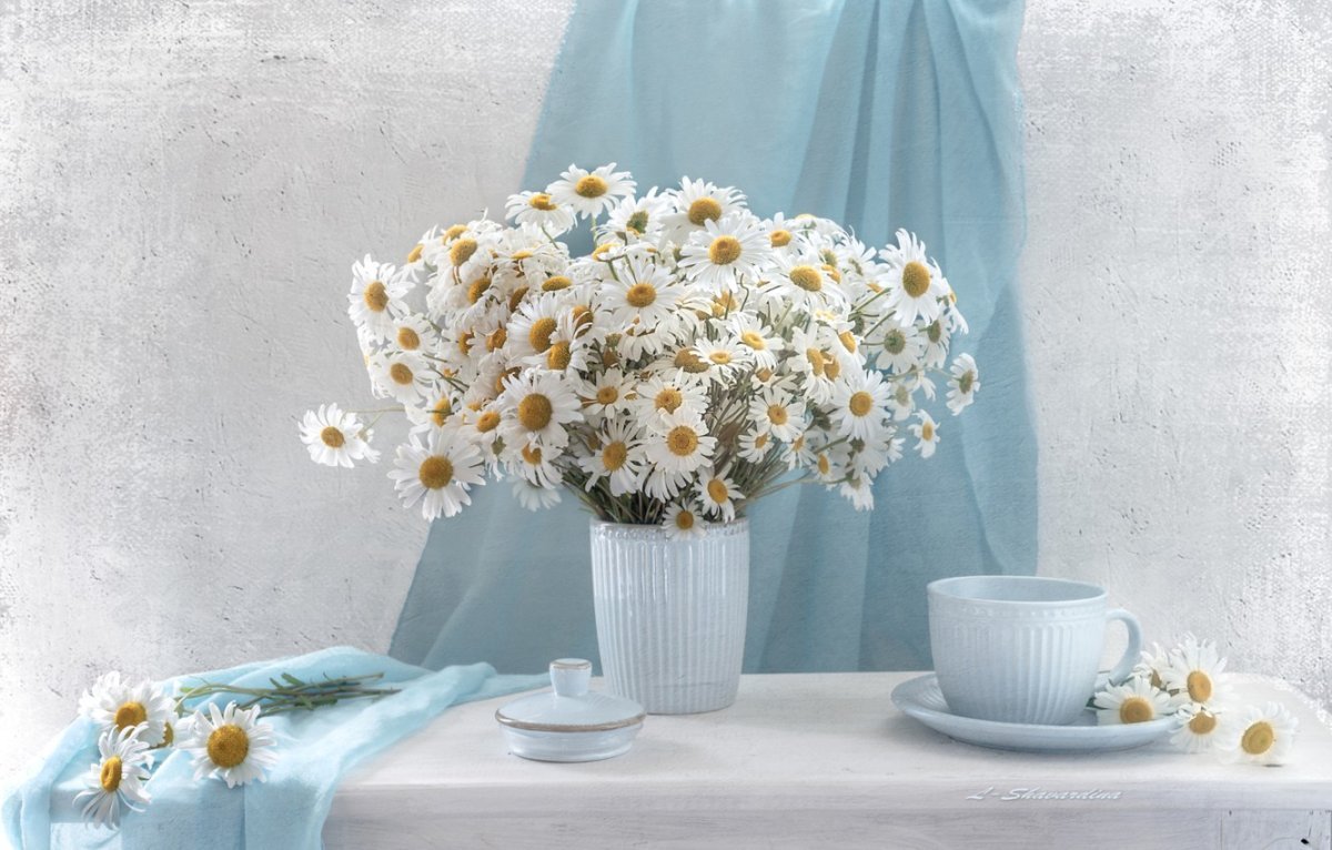 Ромашки в вазе