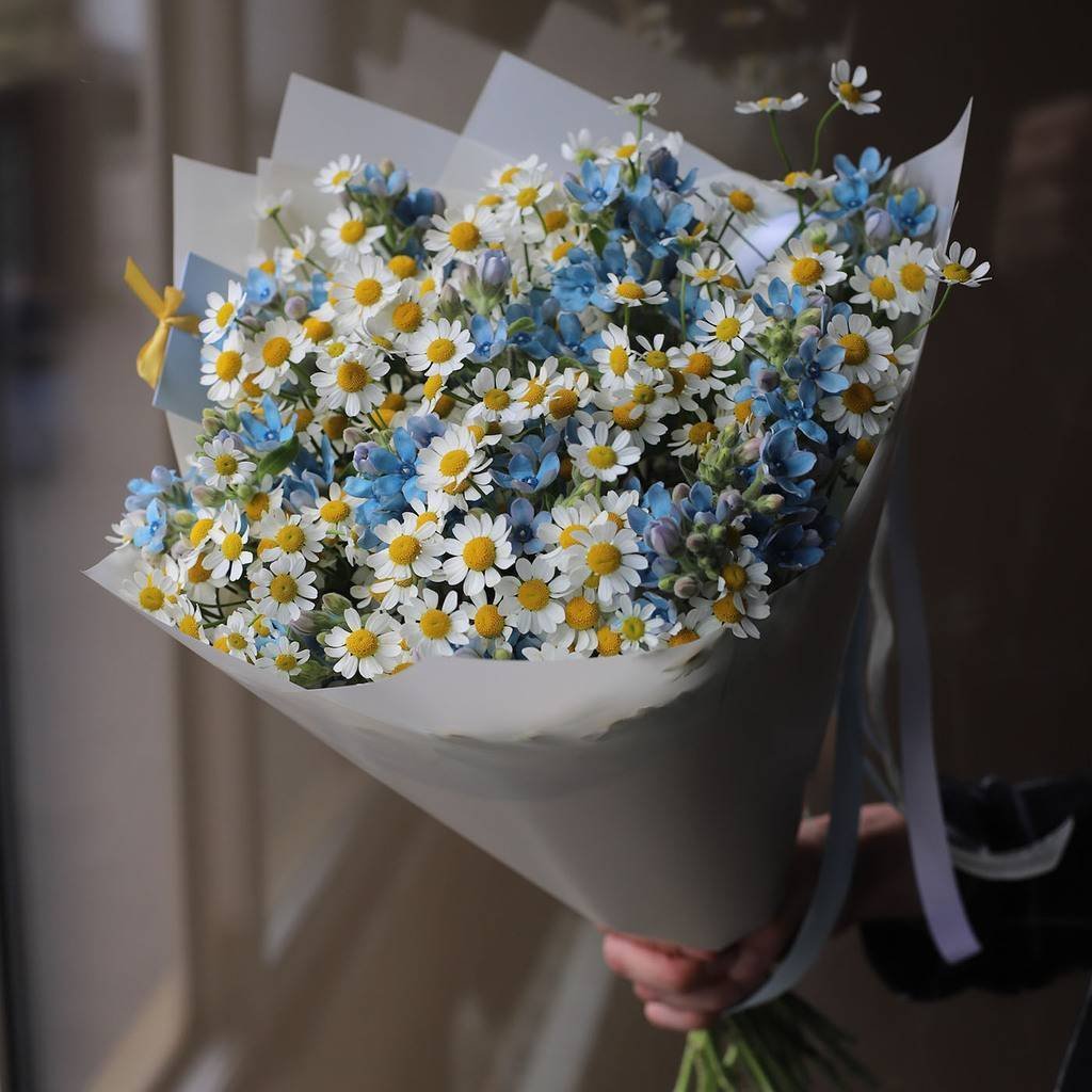 Цветы ромашки лютики