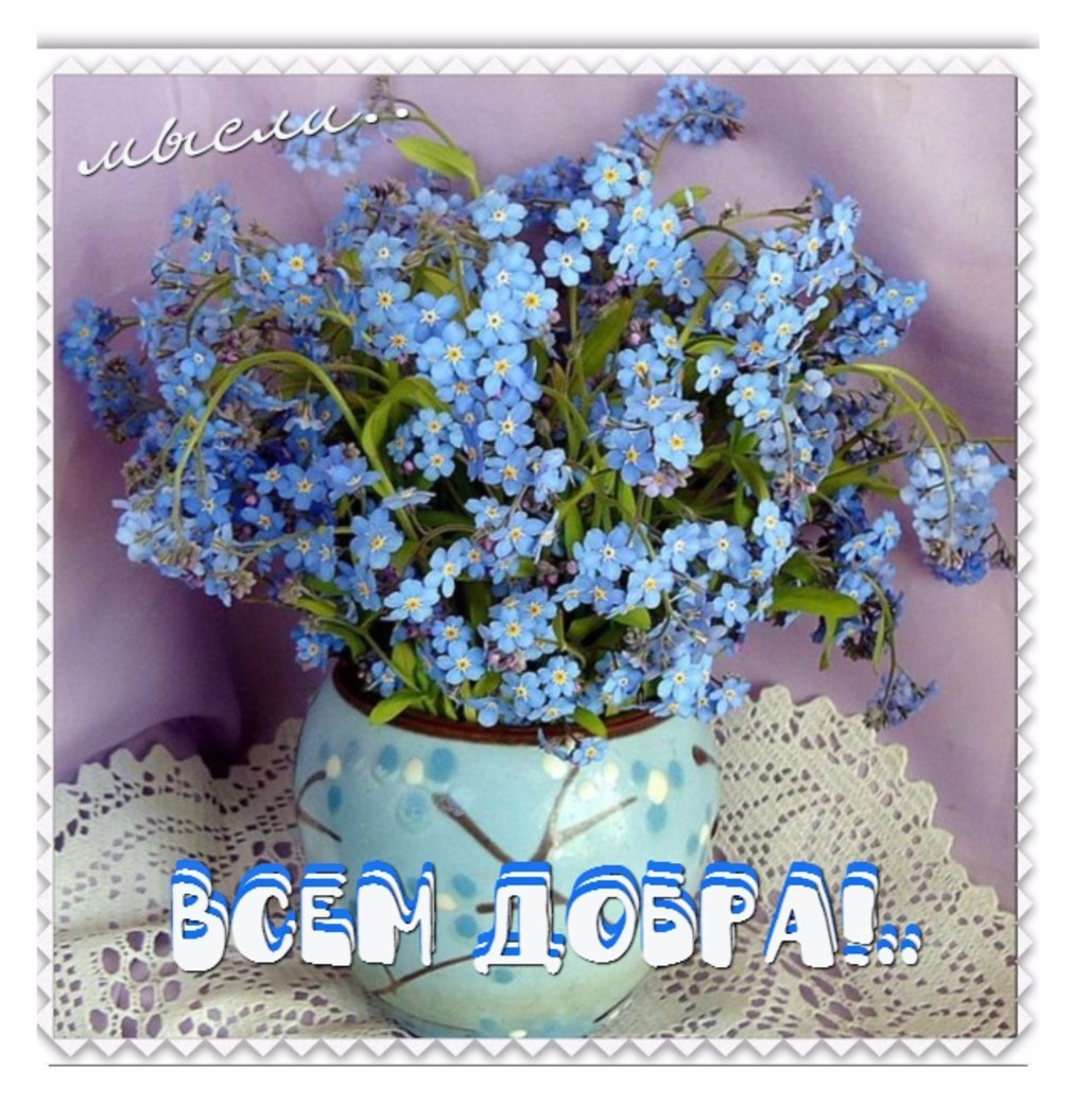 Ольга Витман