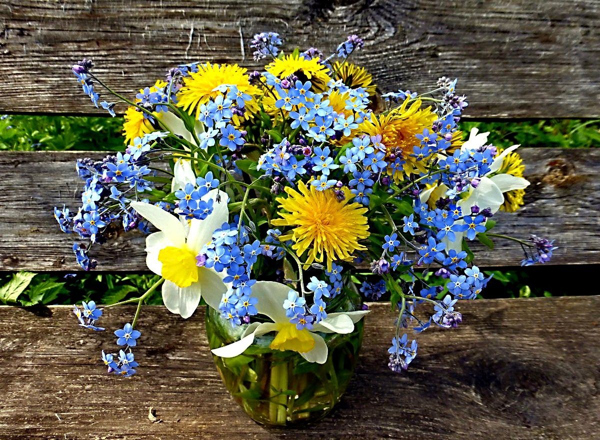 Ромашки и незабудки