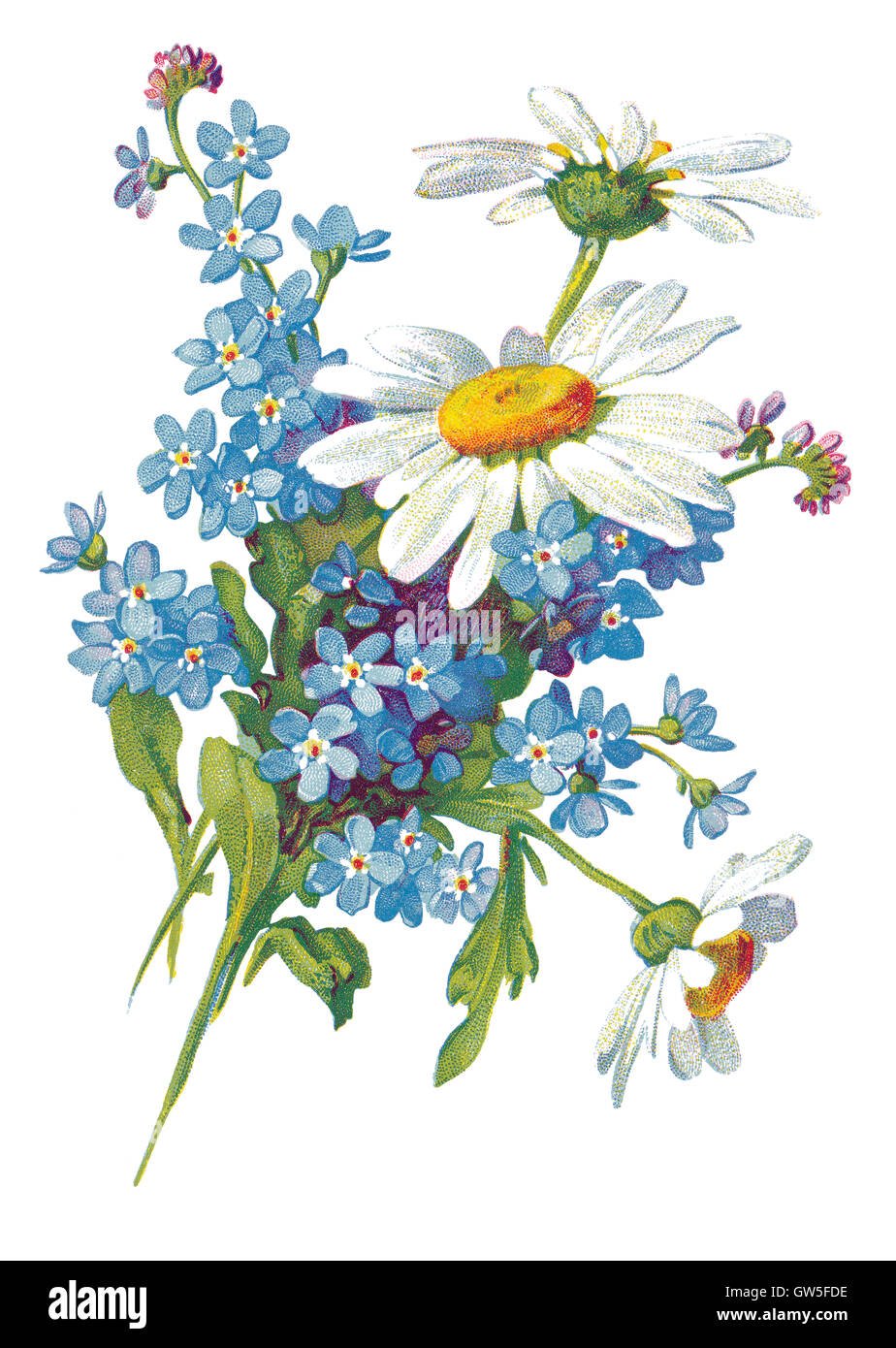 Букет из полевых ромашек