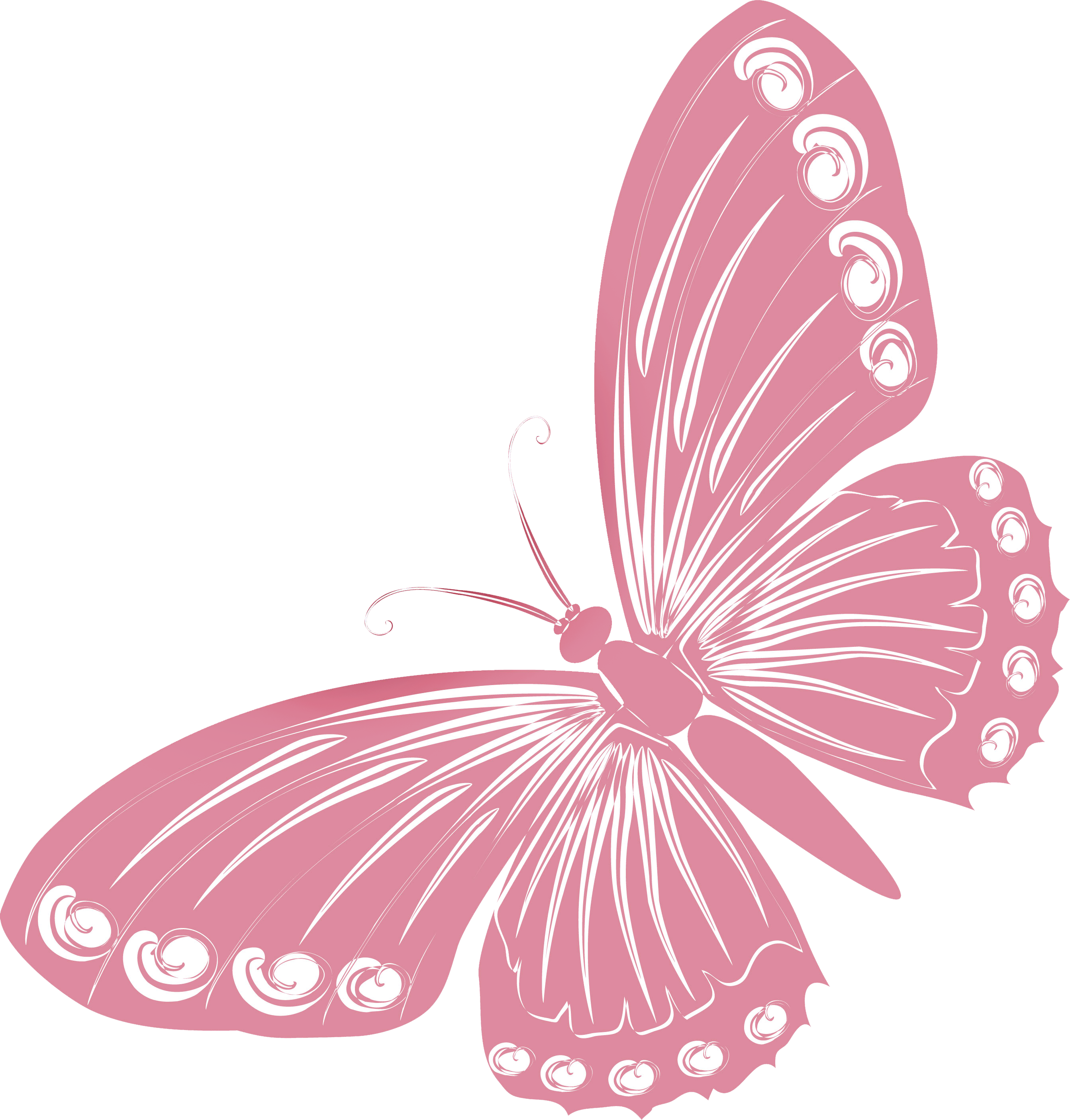 Розовые бабочки. Розовые бабочки на прозрачном фоне. Красивые бабочки на прозрачном фоне. Клипарт бабочки на прозрачном фоне.