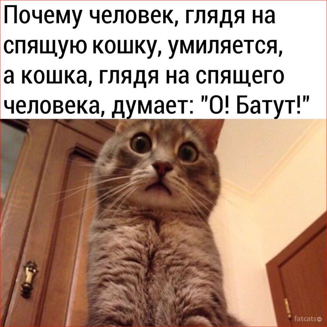 Юмор для поднятия настроения