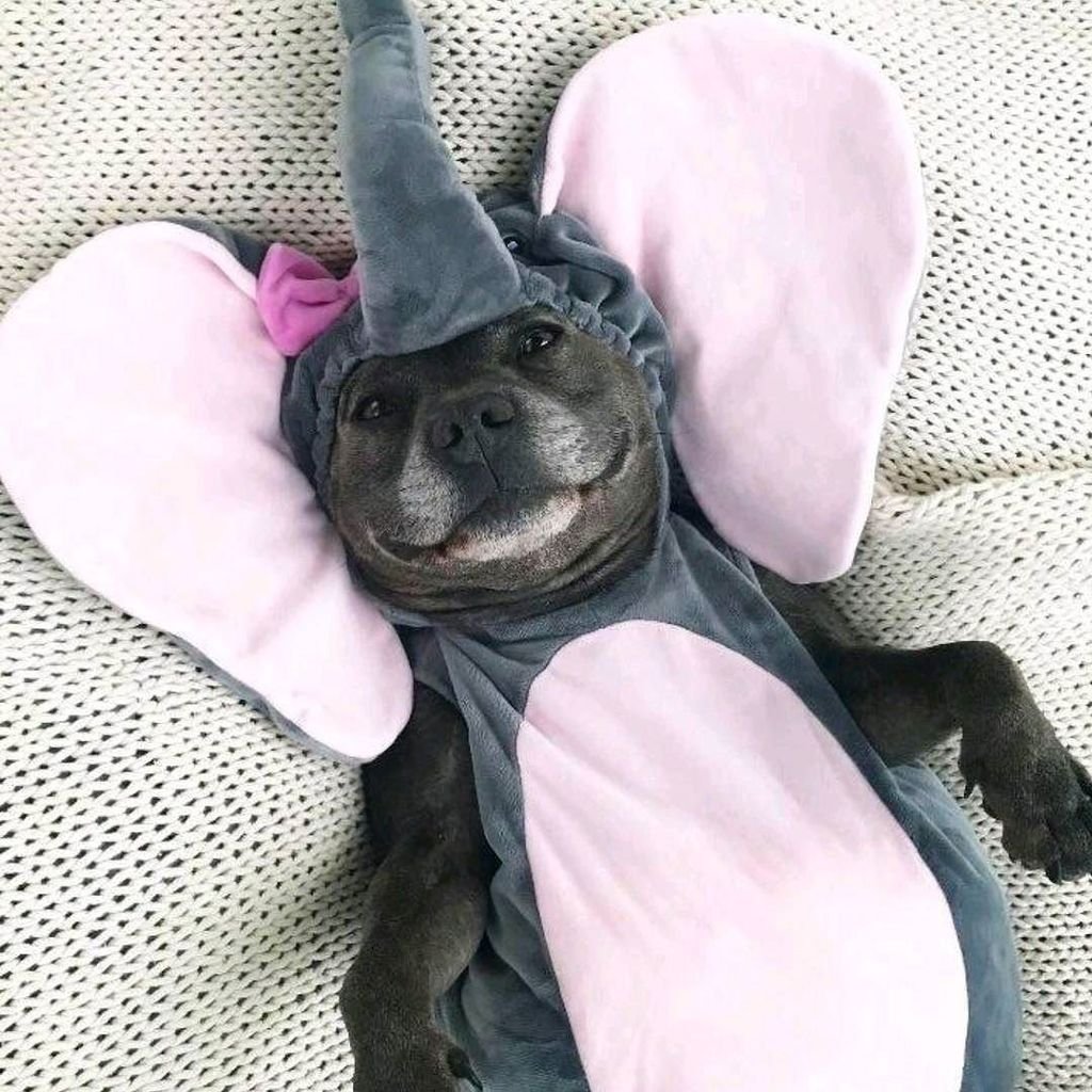 Фотографии для поднятия настроения